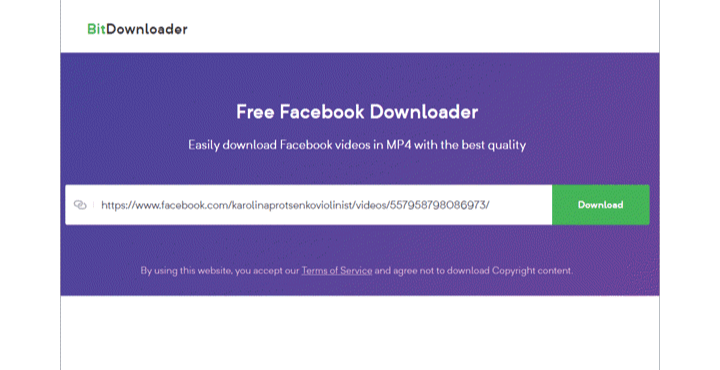 Facebook Video Downloader - BitDownloader