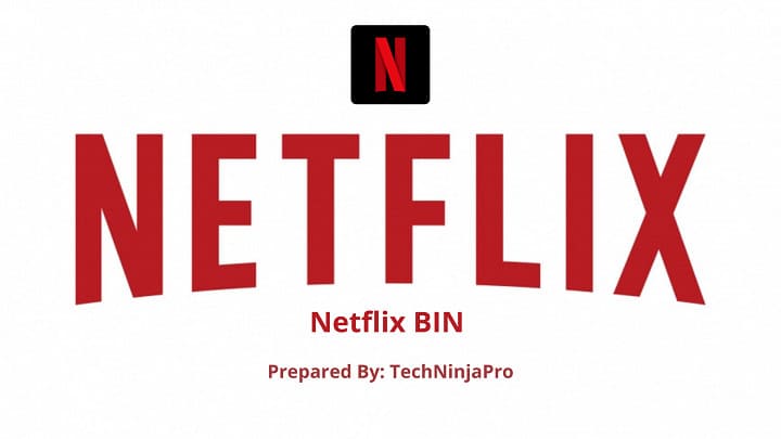Netflix Bin