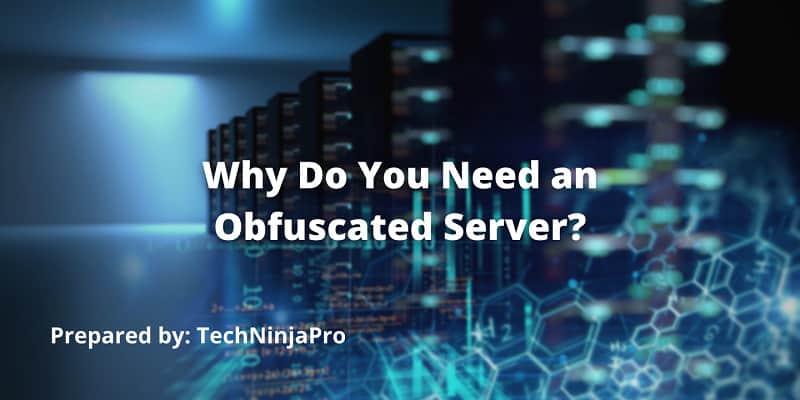 Why Do You Need an Obfuscated Server?