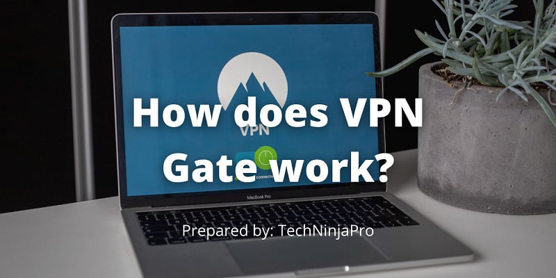 How does VPN Gate work?