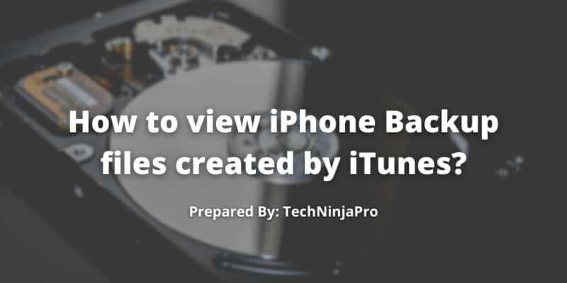 View iPhone Backup files created by iTunes
