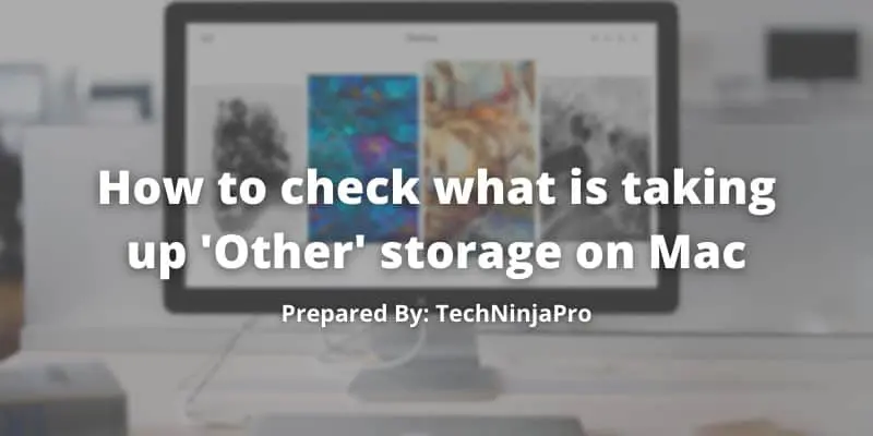 How to check what is taking up 'Other' storage on Mac