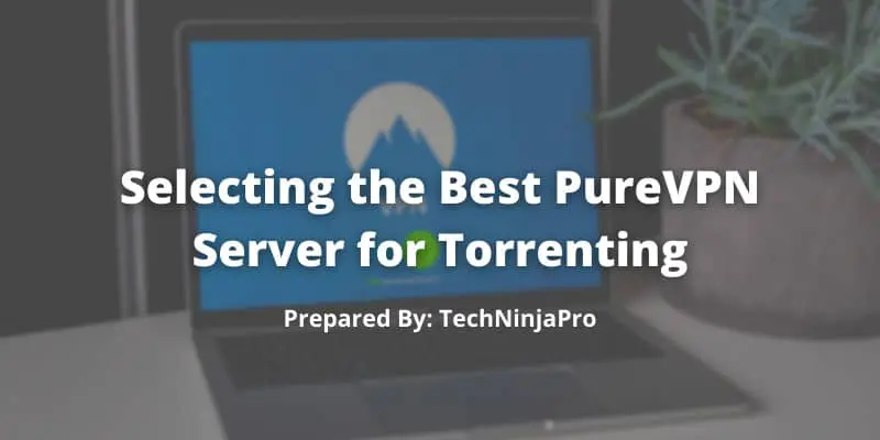 Best PureVPN Server for Torrenting