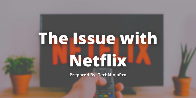 Netflix Issue