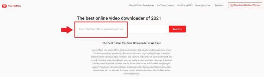 insert youtube url in search of youtubenow