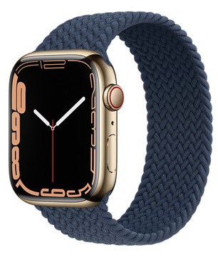 Apple Watch | Gold Stainless Steel Case with Braided Solo Loop