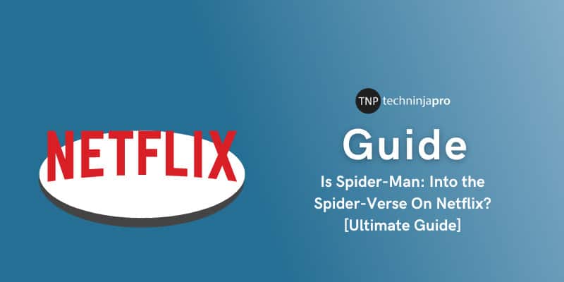 Is Spider Man Into the Spider-Verse On Netflix